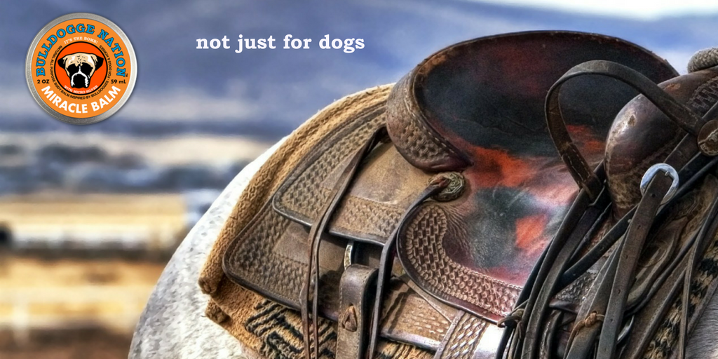 BulldoggeNation's tweet photo. All-purpose body balm for dogs &amp; horses! Order yours today! https://t.co/GOylICvzq9 #bulldoggenation #miraclebalm #itsthebomb https://t.co/YxVsG60KkH