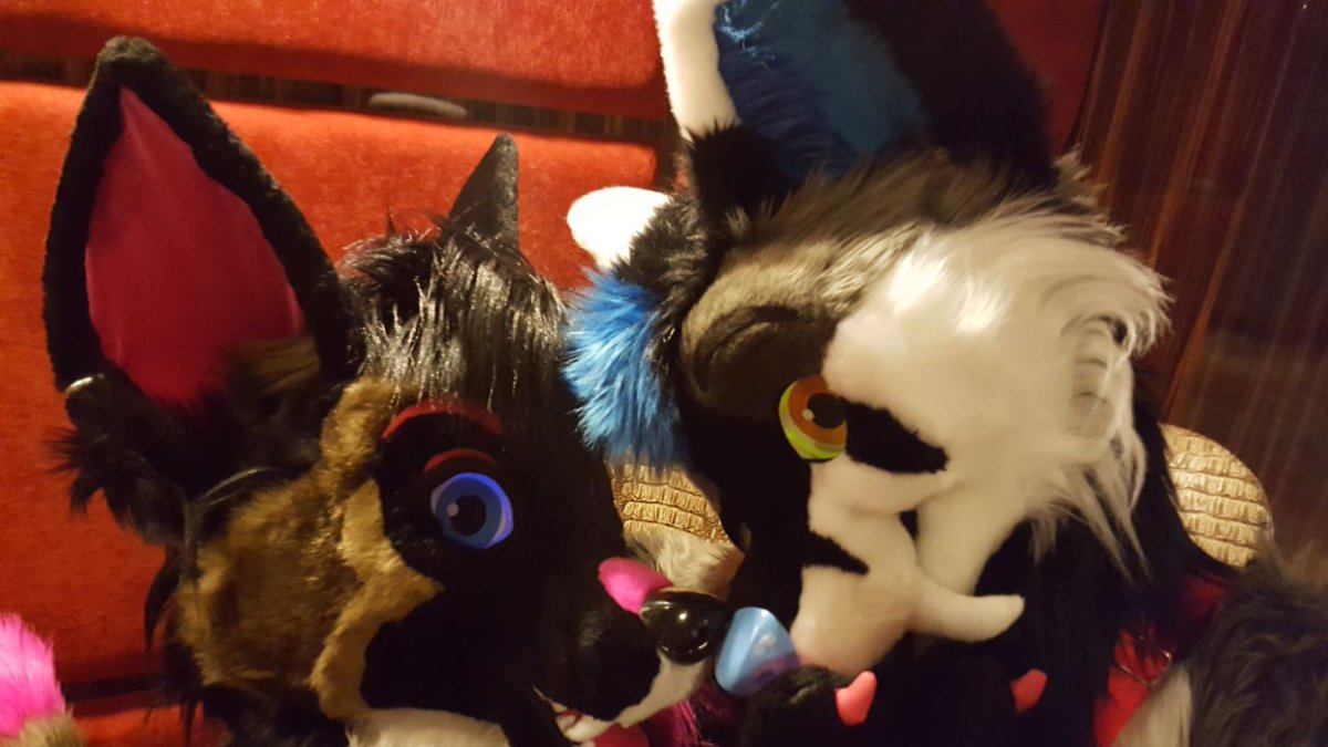 SummerSaberFox's tweet photo. Happy #MischiefMonday! Here's a few photos from #BLFC17 with my amazing GF @butt_tufts. :3 #BLFC2017 #BlessH  #PraiseH https://t.co/HpSnBQEd6X