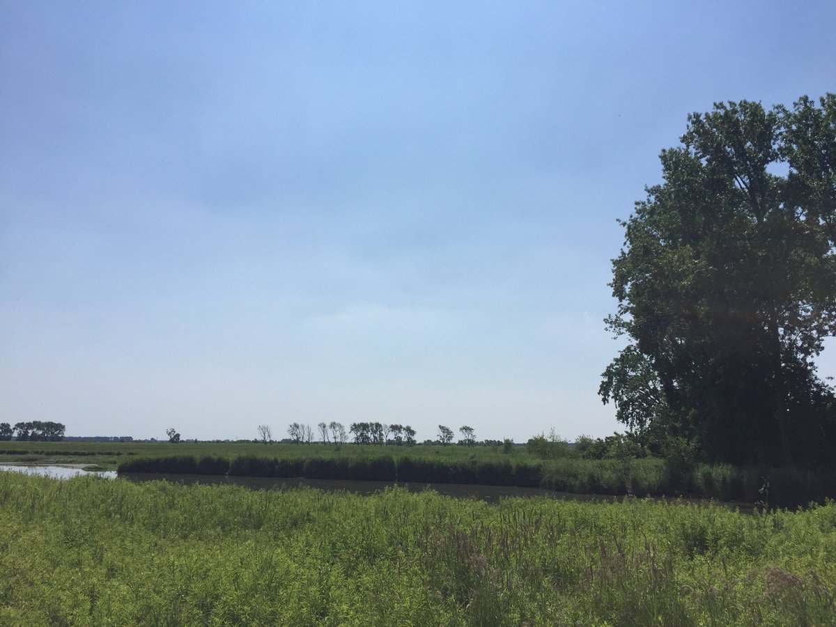 Veel te warm voor een natuurwandeling, maar wat was Tiengemeten prachtig! Ik was op bezoek bij NLDelta, winnaar #MooisteNatuurgebied.