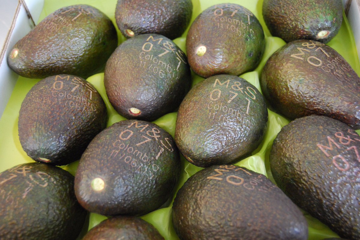 MandSnews's tweet image. We'll be laser labelling #avocados from this week to save 10 tonnes of paper &amp;amp; five tonnes of glue a year. @BBCNews bbc.in/2sKw9ST