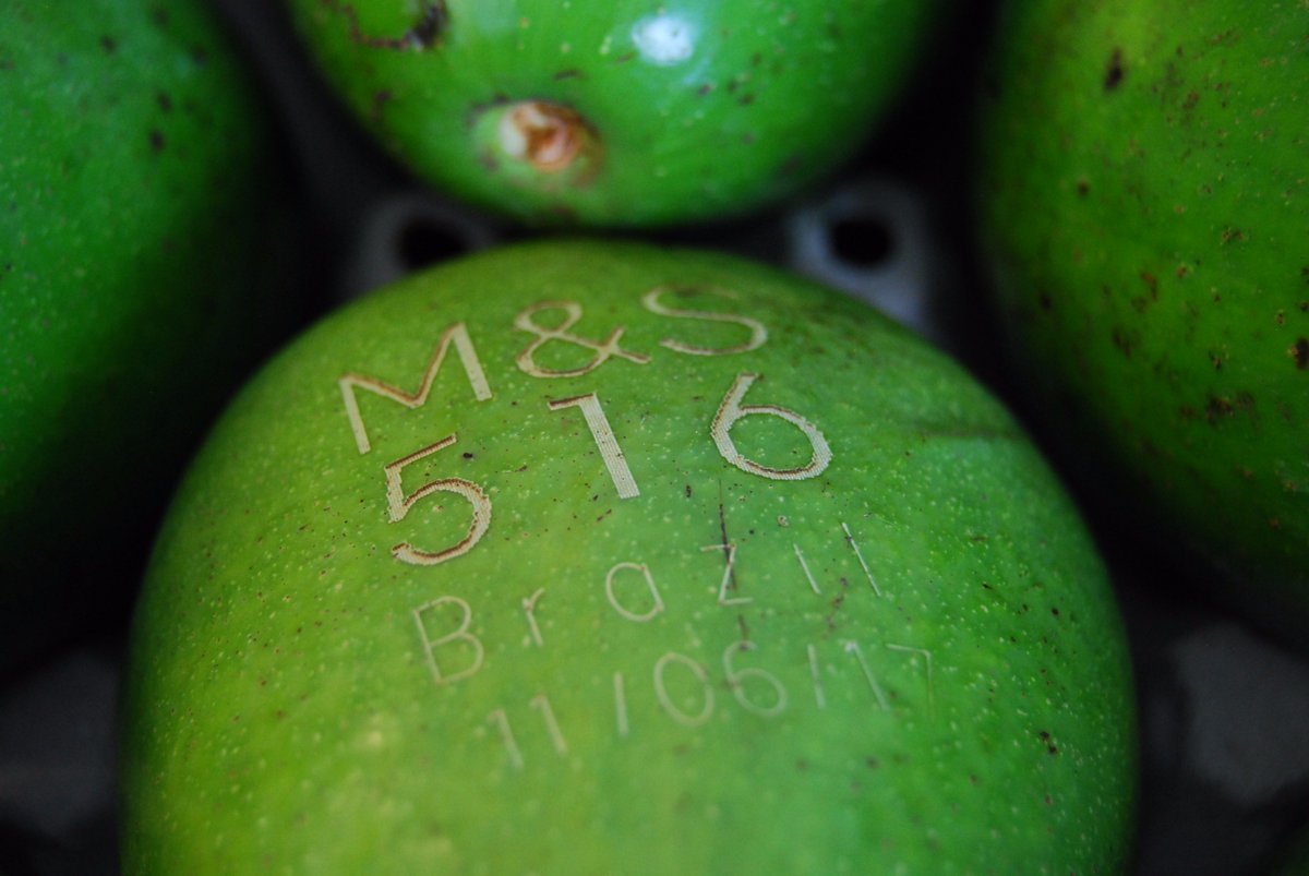 MandSnews's tweet image. We'll be laser labelling #avocados from this week to save 10 tonnes of paper &amp;amp; five tonnes of glue a year. @BBCNews bbc.in/2sKw9ST