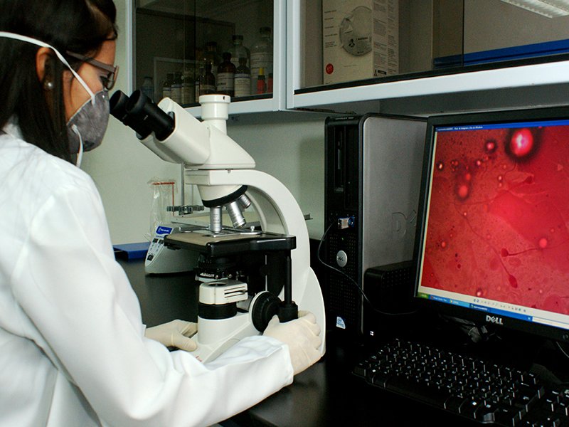 DDHHMP's tweet photo. #BiologicalLab analyzes samples of blood, semen, sweat and saliva https://t.co/OUhZzxIOzg https://t.co/T7495mXFd1