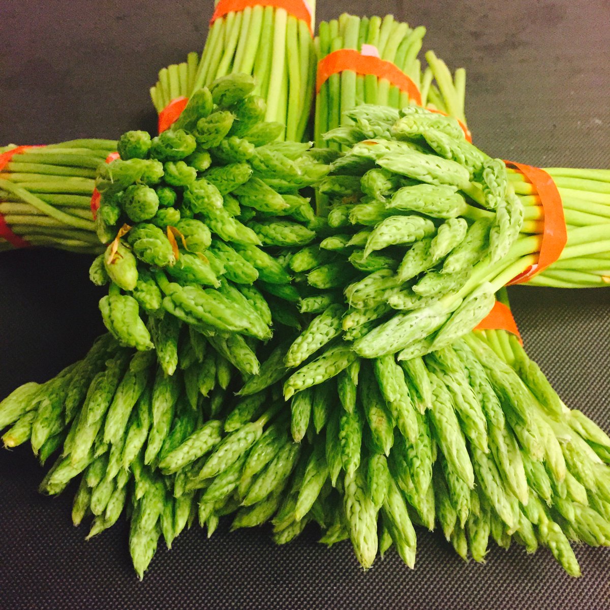 The first wild French asparagus of the year! #MeatlessMonday #vegetarianfood #asparagusseason #asparagus #FelidiaNYC #bbhg #nyceats