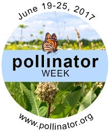 GWBuzz's tweet photo. Happy #PollinatorWeek everyone! 🐝 sure to check out https://t.co/FBGwQ9RNIw for facts, fun, &amp; local events about hardworking pollinators 🦇🐦🦋 https://t.co/8dpLSOOiJM