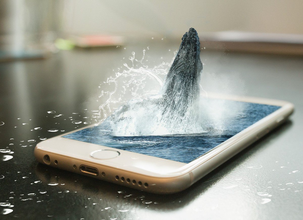 DelucchiPlus's tweet photo. Soon all apps could include augmented reality, but what does this mean for your digital strategy? Find out more: https://t.co/QCtrbCnrvv https://t.co/kgWUqyUZS9