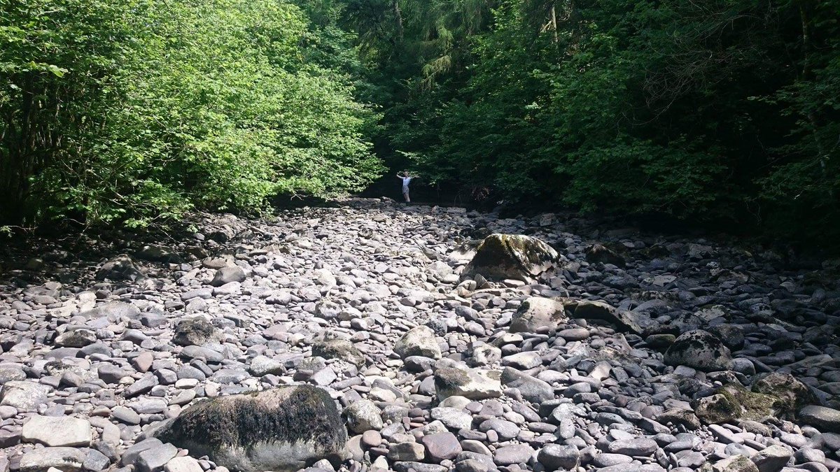 SamHillman's tweet photo. Methodology was altered slightly due to the fact that the river had disappeared over the weekend #RiverEcology #fieldwork #fieldworkfail https://t.co/KDYgXq0o0c