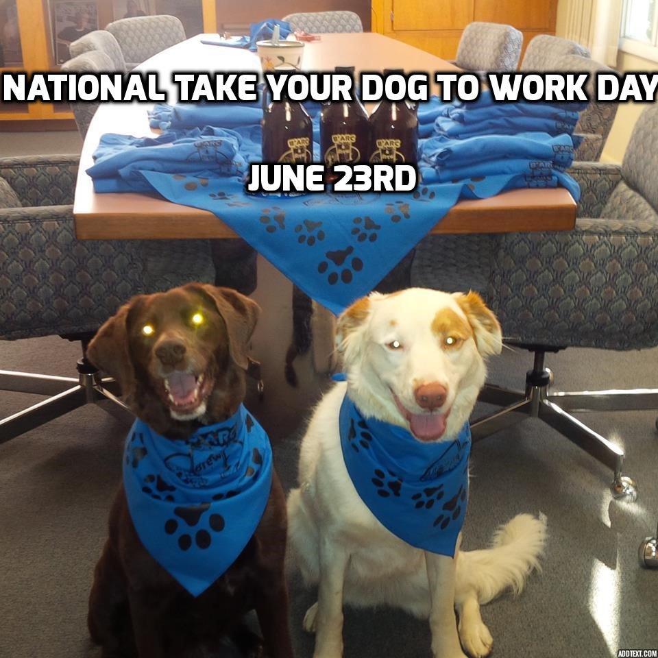 We're teaming up with <a href="/snipidaho/">Spay/Neuter ID Pets</a> to celebrate National Take Your Dog to Work Day! ow.ly/mH7D30cIbHL