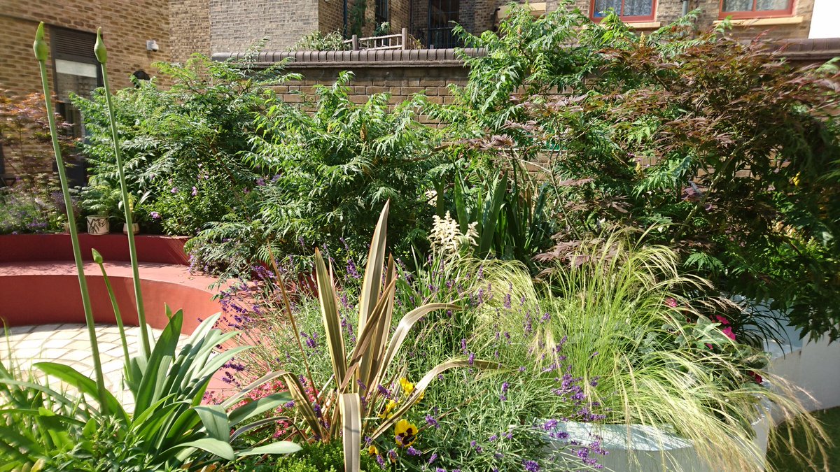 MildmayUK's tweet photo. It's #hothothot in #London but our garden remains a spsce of #coolcalm https://t.co/fAEDdol48z