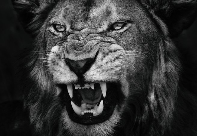 stephenmarley's tweet photo. #MORNINGJAH "Throughout history it has been the inaction of those who could have acted that has made it possible for evil to triumph.” H.I.M https://t.co/hQRvcbgPEO