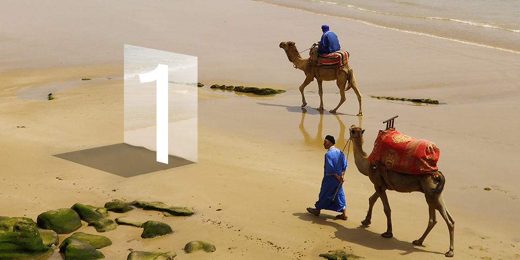 T-1. Dual Camera. Clearer Photos. onepl.us/launch