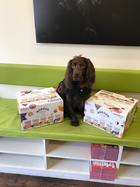 Nestival_INTRNL's tweet photo. Don't come between a spaniel &his biscuits @FamousFlynn @BorderBiscuits #NestFillers17 #FriendsofNestival ๐ฅ๐
@youvebeenstrung #Kingofcookies https://t.co/0MQHDaoJ6J