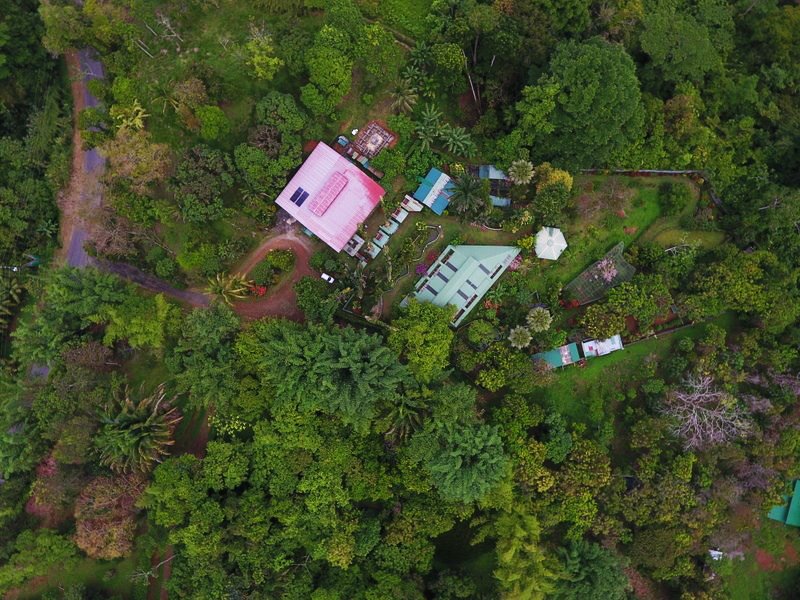 Reptilandia's tweet photo. Drone pictures of Parque Reptilandia by Dave Baskin! / Fotografias con el drone, fotos de Dave Baskin! #thingstodo #dominical #reptiles https://t.co/grSsmTyil1