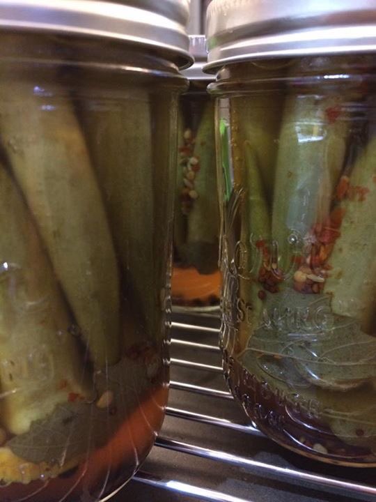 tqskitchen's tweet photo. All new post at https://t.co/2JTphOvBSm: Pickled Okra https://t.co/mQV5IDcmXs