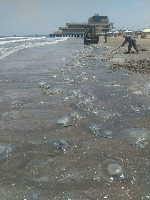 Посмотреть изображение в Твиттере