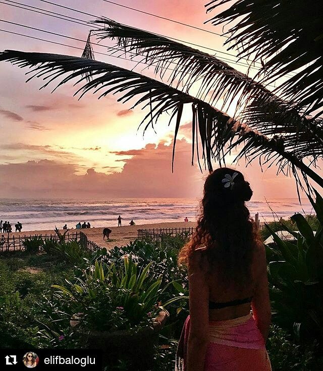 Pousada_Beach's tweet photo. #Repost @elifbaloglu (@get_repost)
・・・
Lost in the moment within the pink clouds and the palm trees #pousadabythebeach #monsoon #cocktails https://t.co/4eJ7YibeaJ