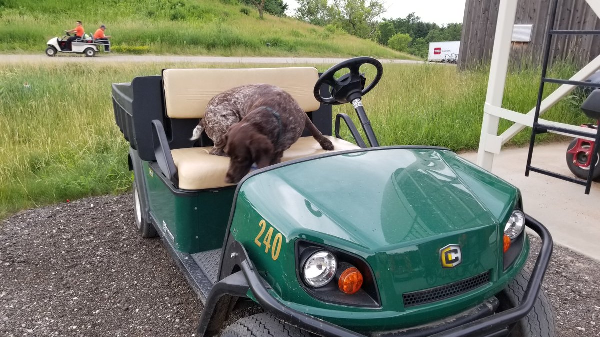 Cushman Vehicles tweet media