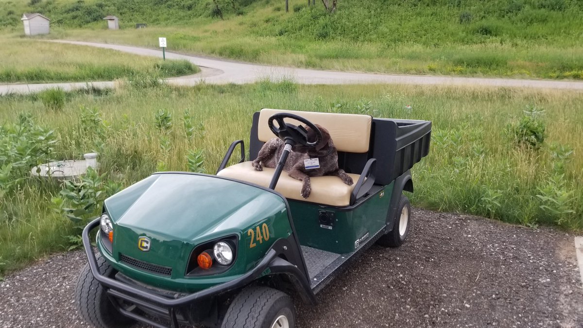 Cushman Vehicles tweet media