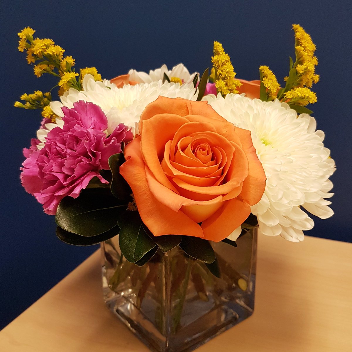 gaileckert's tweet photo. What a beautiful way to start the week.
#newjob #happiness #career #summitsearchgroup #recruitment #talent @SummitSearchCA https://t.co/C9Dmvi9fFR