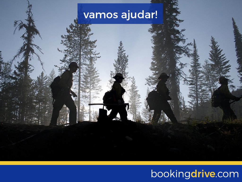 bookingdrive's tweet photo. Vamos ajudar as vítimas e os bombeiros dos incêndios em Portugal!
Veja como no nosso blog: https://t.co/ckscBucF6p https://t.co/hCQsp0ieX6