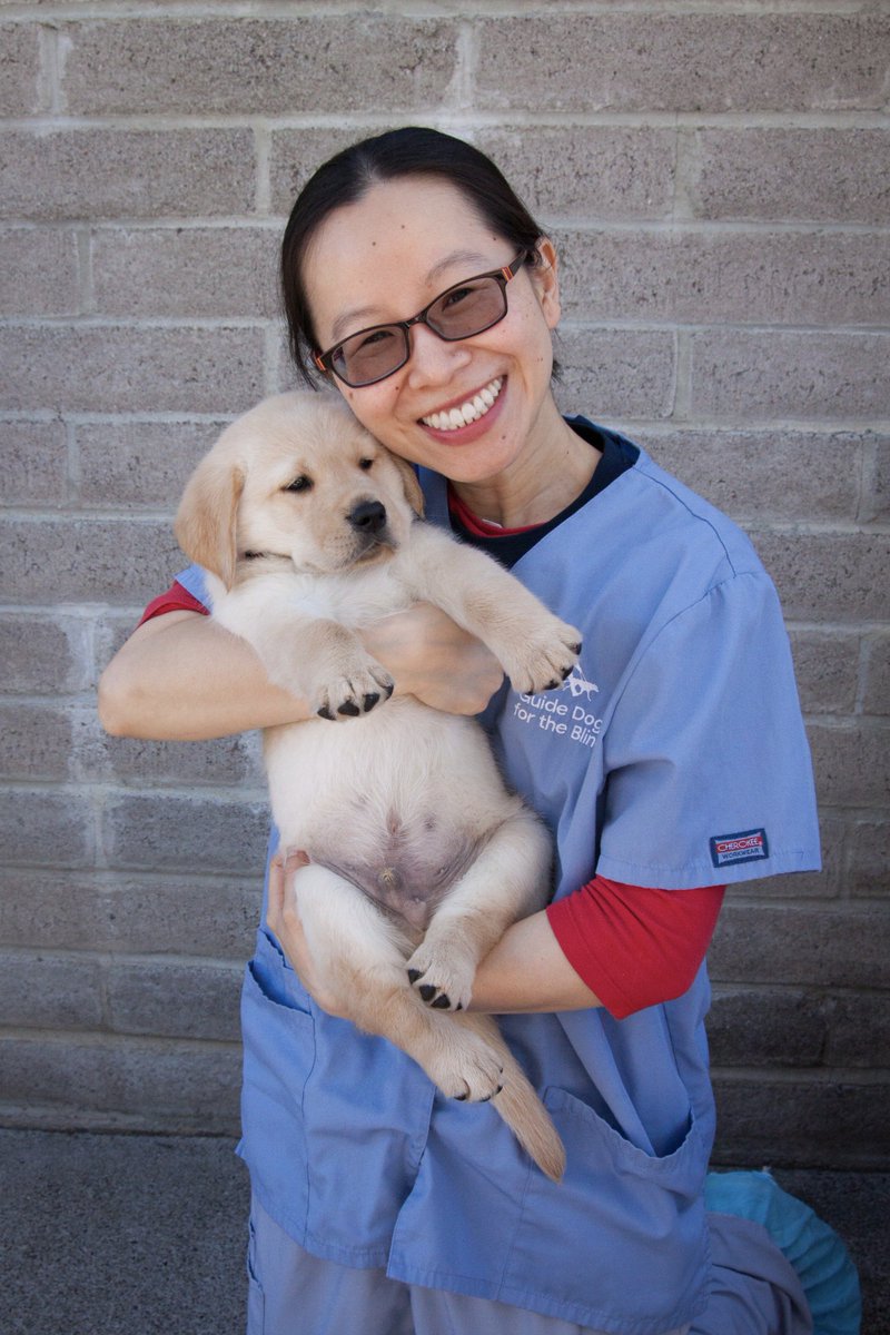 googleaccess's tweet photo. Thank you @GDB_official for an amazing #gdbexperienceday! @googleaccess enjoyed learning abt the organization &amp; of course puppy socializing! https://t.co/VlDW8PYtLJ