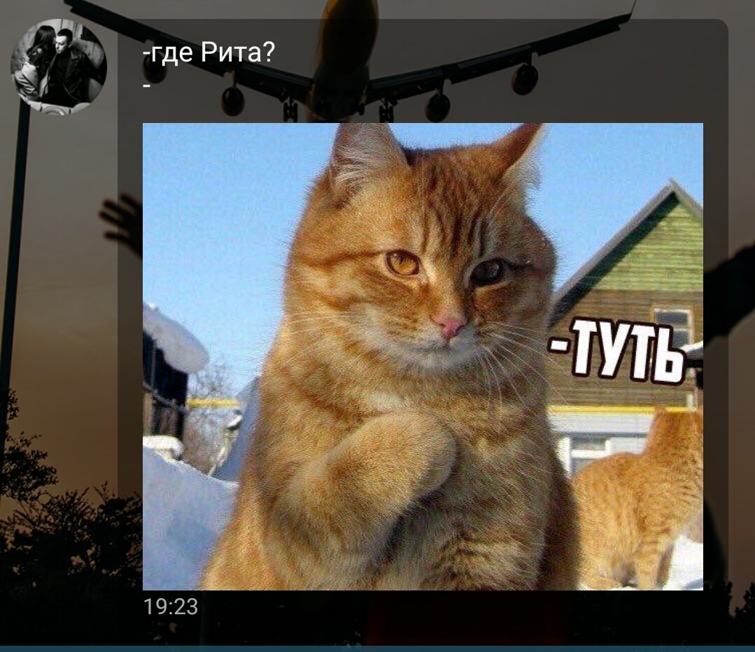 RitaAndreeva2's tweet photo. 😻😁 https://t.co/BJzL89hgQR
