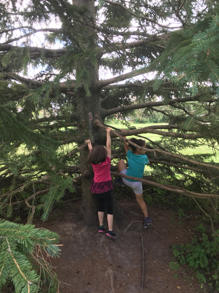 KGNaturally's tweet photo. And a visit to our favourite 'climbing tree' #tvdsbkinder @FDRooseveltPS https://t.co/AMSsge4ba4
