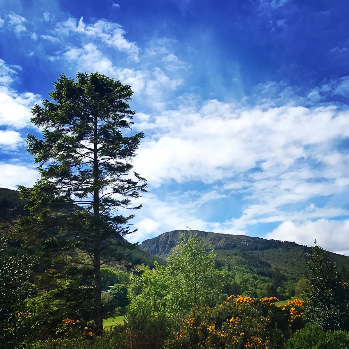BoldlyGoesUK's tweet photo. The Wicklow mountains are GORGEOUS https://t.co/HxuCq1kF7F #GetOutside #ireland #hiking https://t.co/hdAUEFHxIw