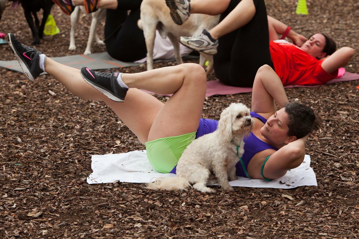 PuroPincheSA's tweet image. Check out @GoFetchRun, a program designed for humans and dogs to workout together, tonight at @hemisfair! bit.ly/2sL5m93