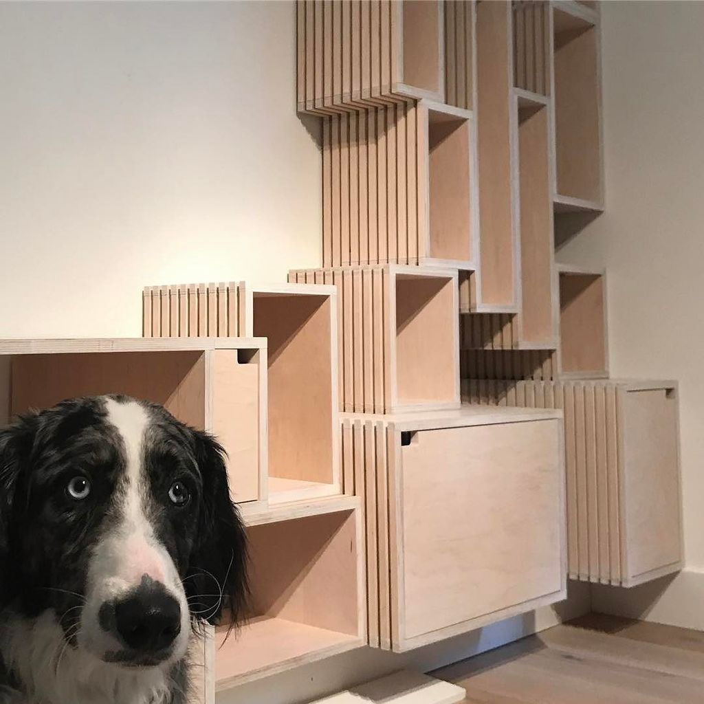 FormAndForest's tweet photo. Charlie has been very involved in this project.  He seems rather melancholic to see it nearing completion.

@ourvancouverlife 
#dogsanddesi… https://t.co/uFoP0Vrvg7