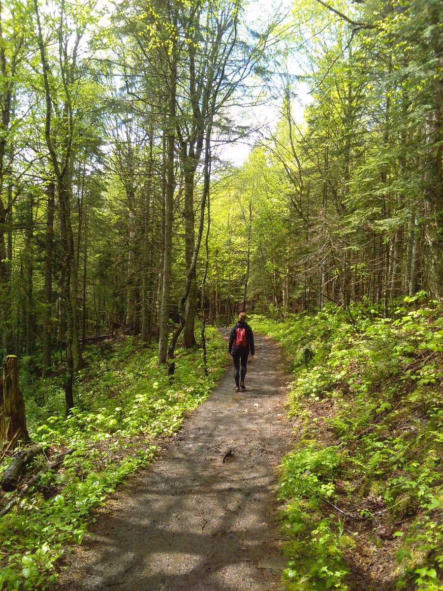 Explore Our Land tweet media