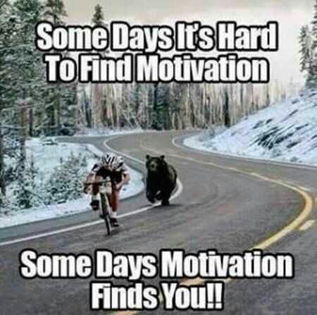 sarahdutoit's tweet photo. https://t.co/mvnzDOTE59