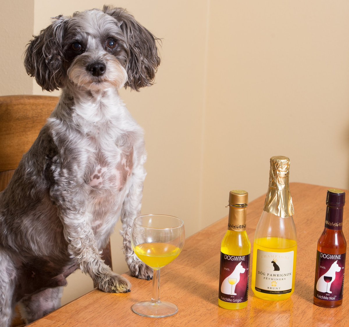 petwinery's tweet photo. Monday... Another reason to drink! 🥂

https://t.co/ibFwa9G27A

#PetWinery #DogPawrignon #FetchMeGrigio #FetchMeNoir https://t.co/iWBGoyCWzW