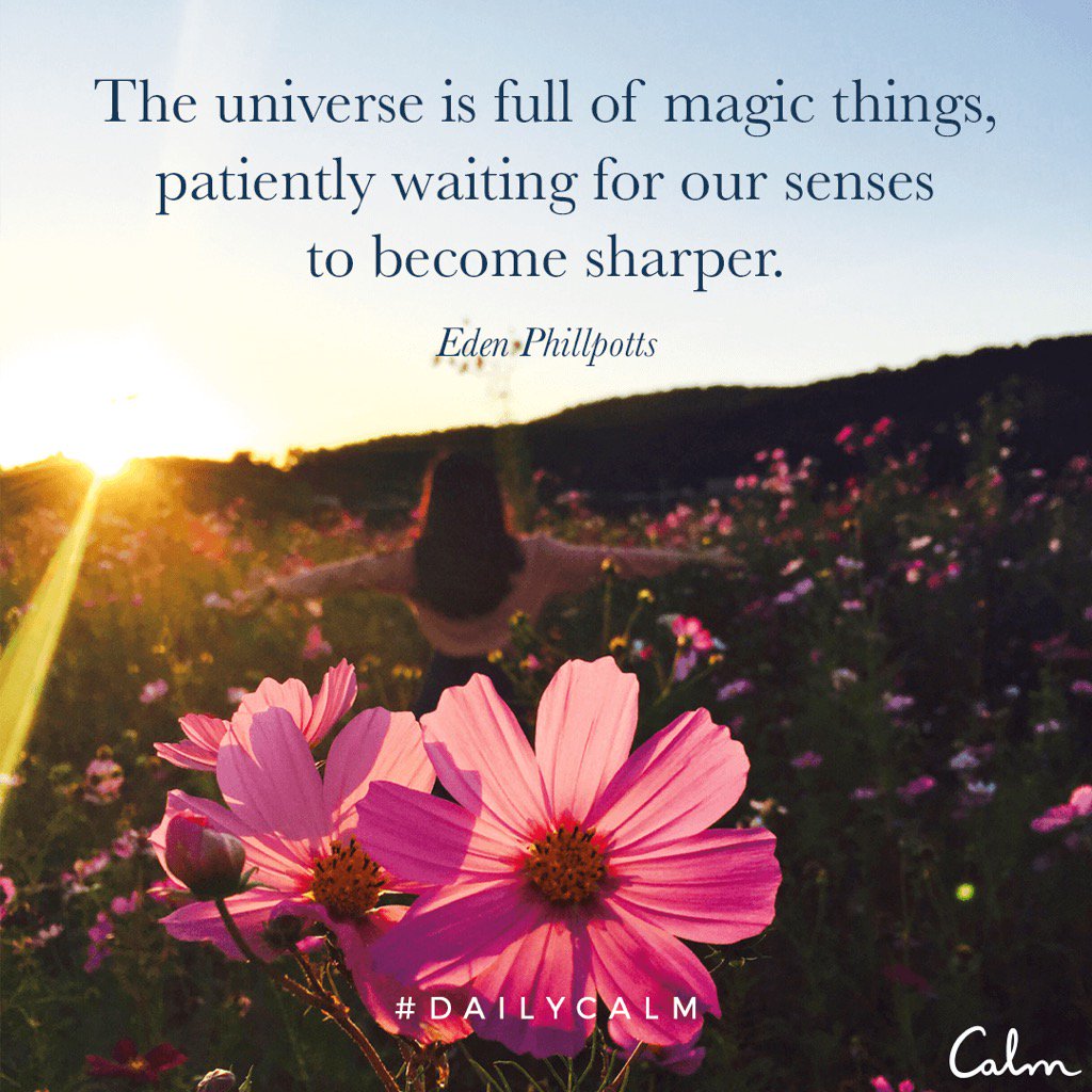 #DailyCalm <a href="/calm/">Calm</a> calm.com/quote?id=Vy6uJ…