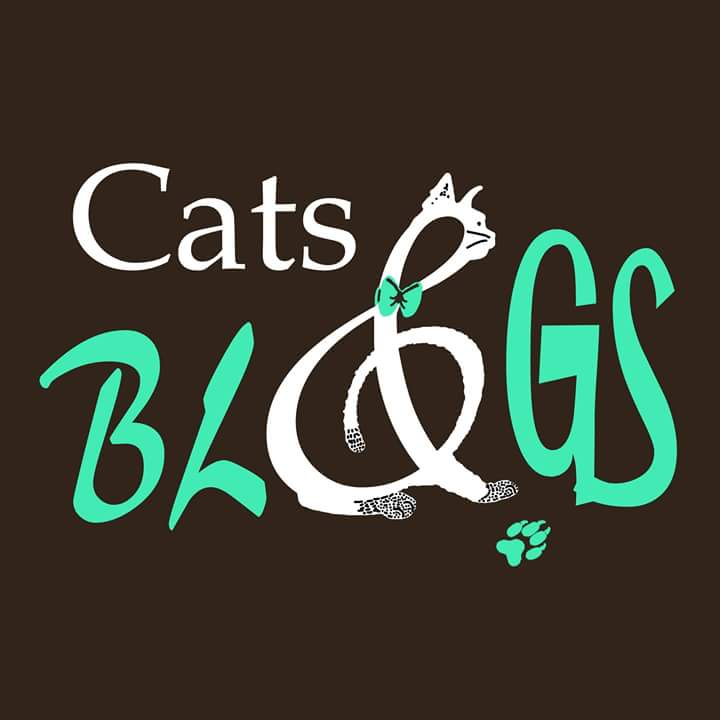 PixeldustRw's tweet photo. #logo #design #cats #New #lifestyle #Catwoman #catlife #blog #blogger #typography #creativity #illustration #writing #Passion #Hobby #art :) https://t.co/OaCq0rhQmL