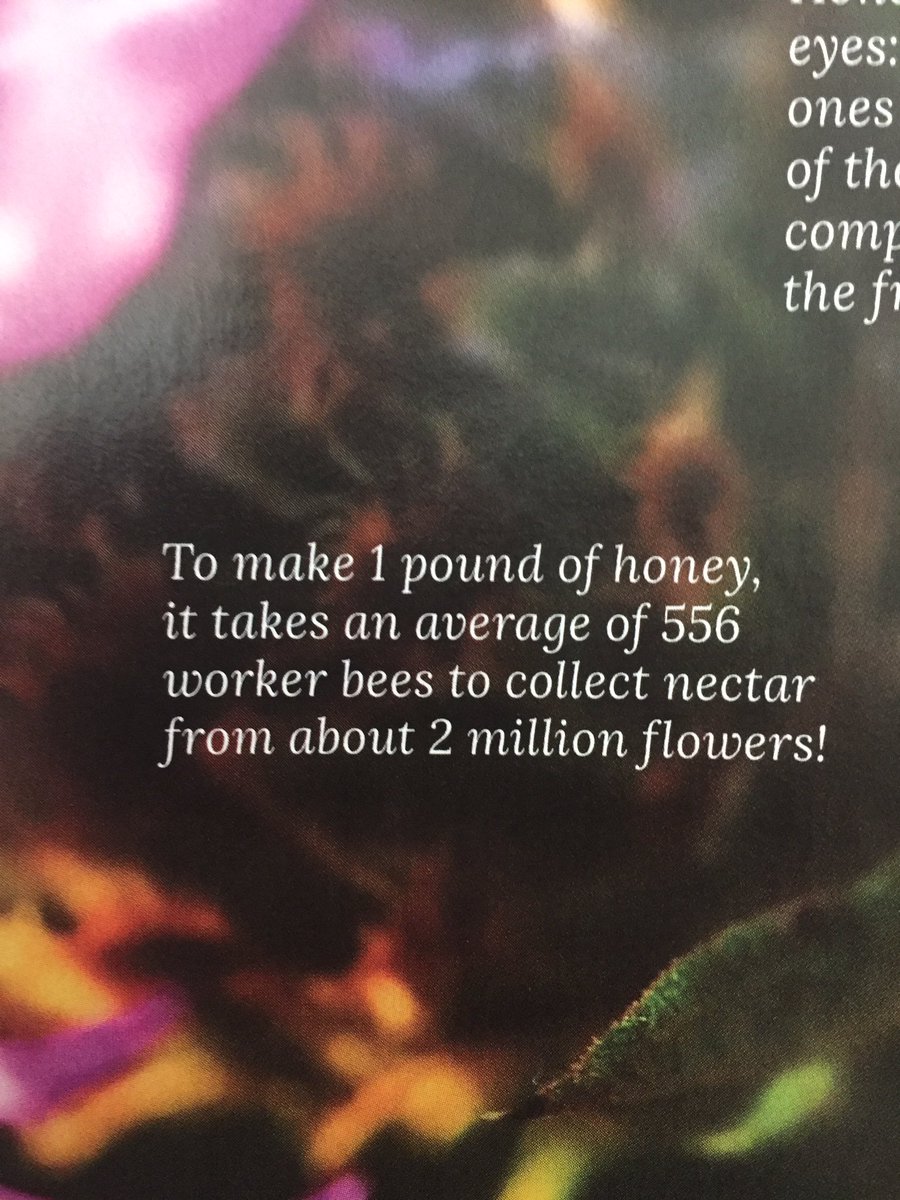 dmmorgan3's tweet photo. #wowmoment #beesknees #cleaneatingmag https://t.co/6wD095qxpc