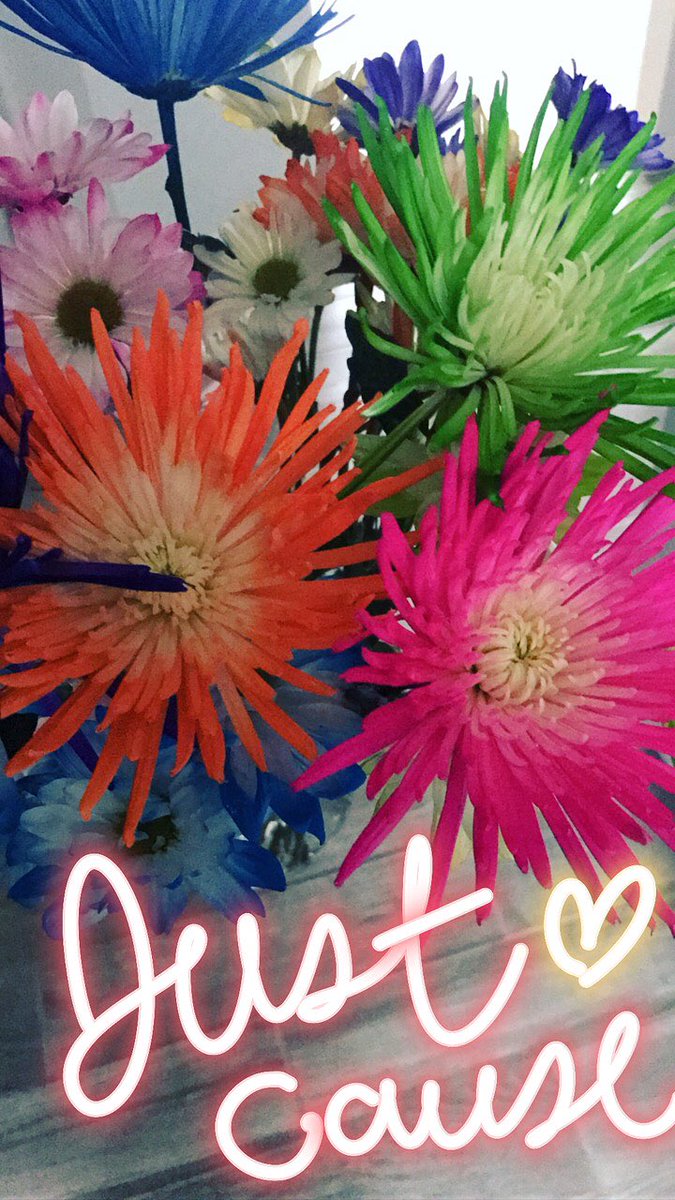 MrsWifeyLife's tweet photo. Awwwwww LOOK WHAT WAS WAITING FOR ME WHEN I WALKED THROUGH THE DOOR 💕😭💕😭💕 #HubsOfTheYear https://t.co/y19wXDoKgB