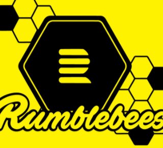 SoloDarling's tweet photo. Holy #LaserHotDogs Batman! @travis_huckabee and I present...the RumbleBees tee! Click to preOrder a size AWESOME https://t.co/sRPFQPsIbU https://t.co/h4ZbDAmvKR
