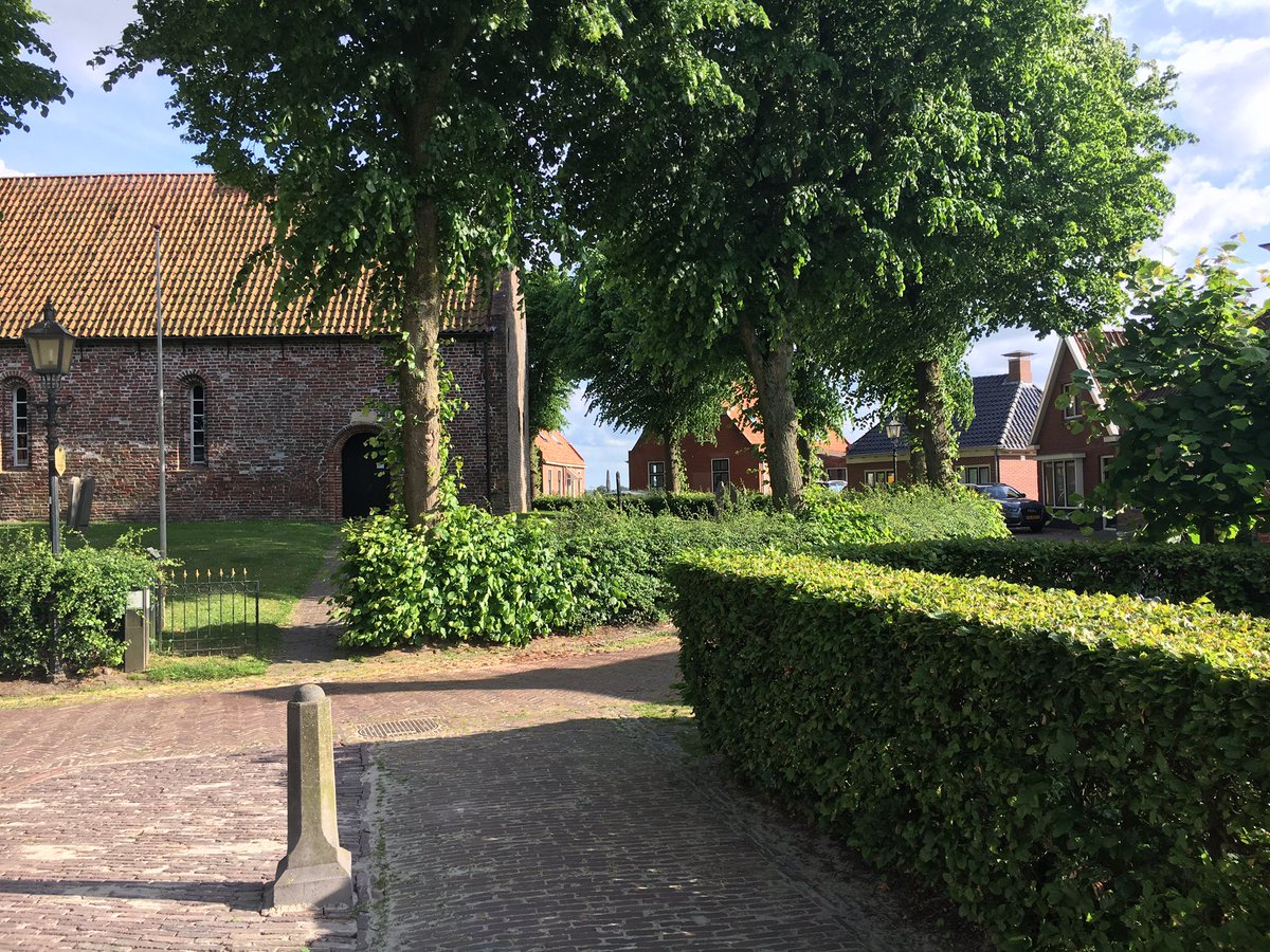 Stadsgroen geeft belangrijke verkoeling in de stad  zie biodiversiteit.nl/biodiversiteit…