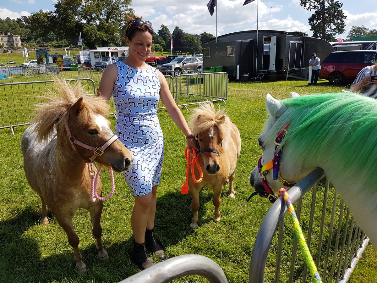 DPriest75's tweet photo. @TheBrooke when Harry met Harry @BolesworthInt . He raised a few ££s by giving unicorn hugs 💓🦄 well done Harry #ponyhour #horsehour https://t.co/ou1mCQCcIH