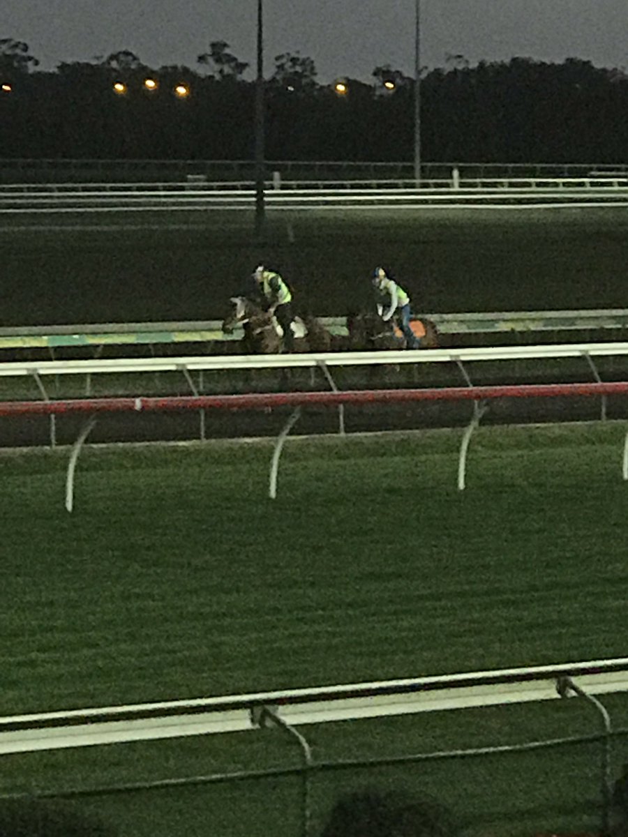 MickDrake6's tweet image. A great way to start the day. Watching sun come up @SCTurfClub trackwork #fintech