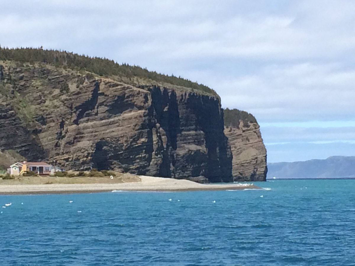 Algarzac's tweet photo. #perfectpicniccontest #bellisland #newfie home for a visit ..Jeff & Krissy 😁 https://t.co/VVVKwCf48a