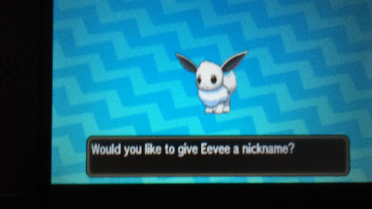 JJ_91998's tweet photo. I found a shiny Eevee after 53 encounters in pokemon moon while watching aDrive's stream.
#shinypokemon 
#shinyEevee
#shinyluck https://t.co/wik76Cgtmr