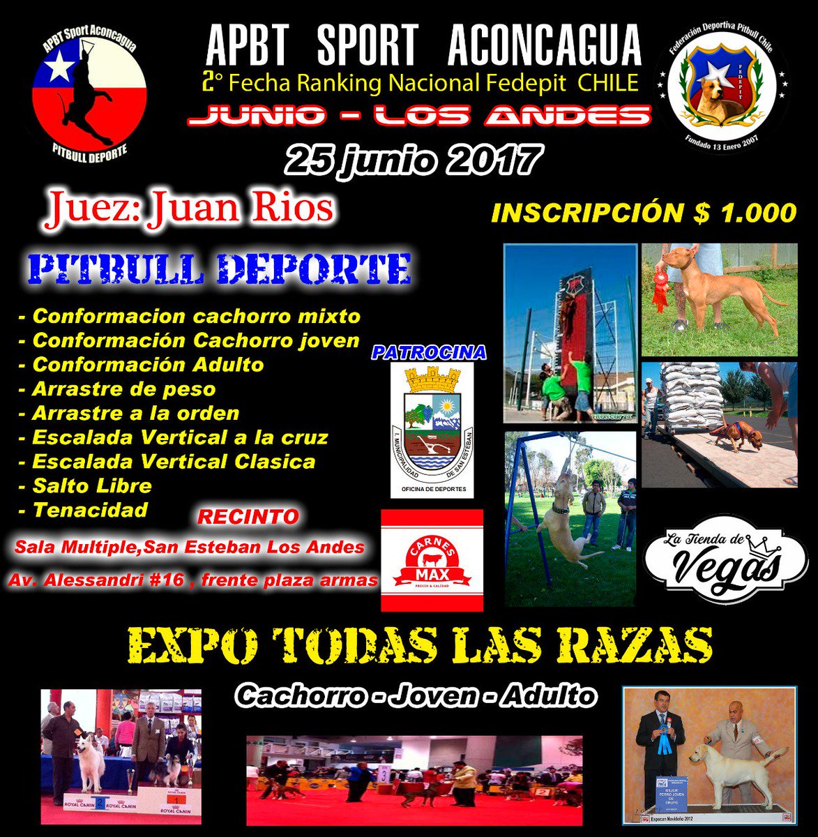 FEDEPITCHILE's tweet photo. 2da Fecha Ránking Nacional @FEDEPITCHILE.
25/06
11:00hrs
Sala Multiple, San Esteban, Los Andes
@pelaorodrigorc @RadioCarolina https://t.co/wXJuQJjzHc