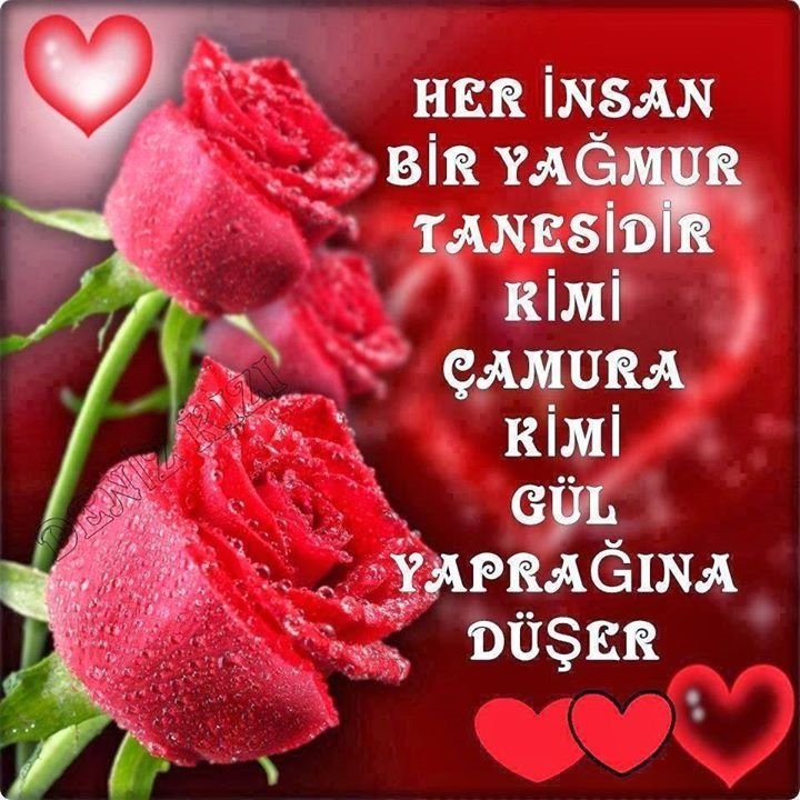 tümay yıldız (@tumayld) on Twitter photo 