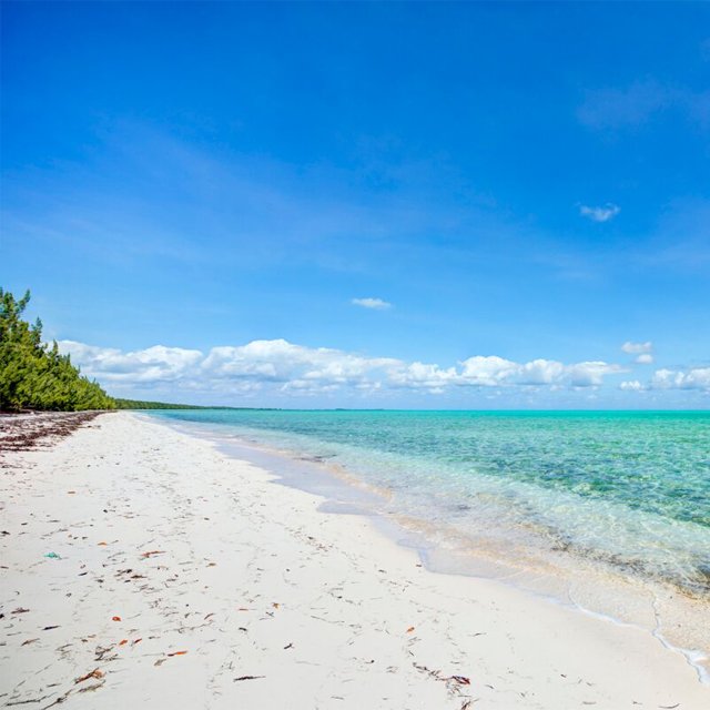 RT <a href="/WhereWhenHowTCI/">Where When How</a>: The colours of The Turks and Caicos Islands
#turksandcaicos