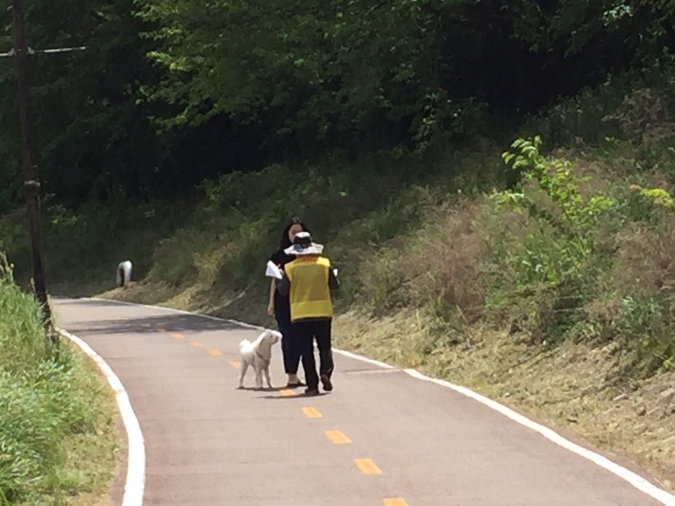 #성남시."탄천" 오는 7월1일부터 반려견에 목줄을 매지 않거나 배설물을 미수거하는 개주인에게 과태료 5만원을 부과합니다.그간 계도위주로 단속하였으나 근절되지 않아 올바른 반려동물 문화생활과 시민의식을 고양시켜 쾌적하고 깨끗한 탄천을 만들겠습니다.