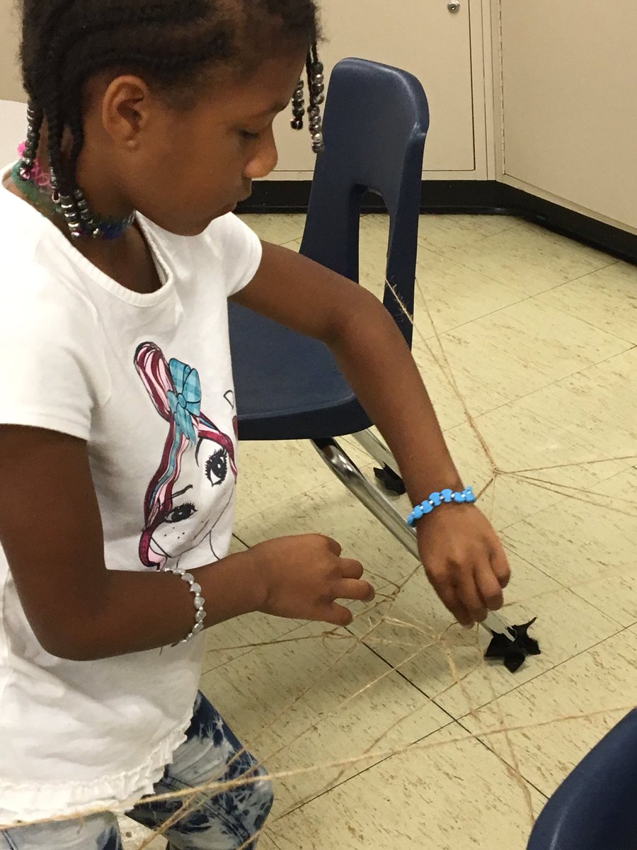 smwhite415's tweet photo. These spiders are spinning their webs. How many flies will they catch? @CCPS #wildaboutscience https://t.co/ypPMKJi9Sn