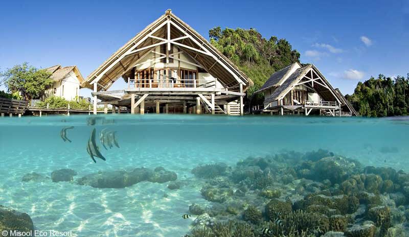 BucketListFeed's tweet image. Misool, Indonesia 🇮🇩