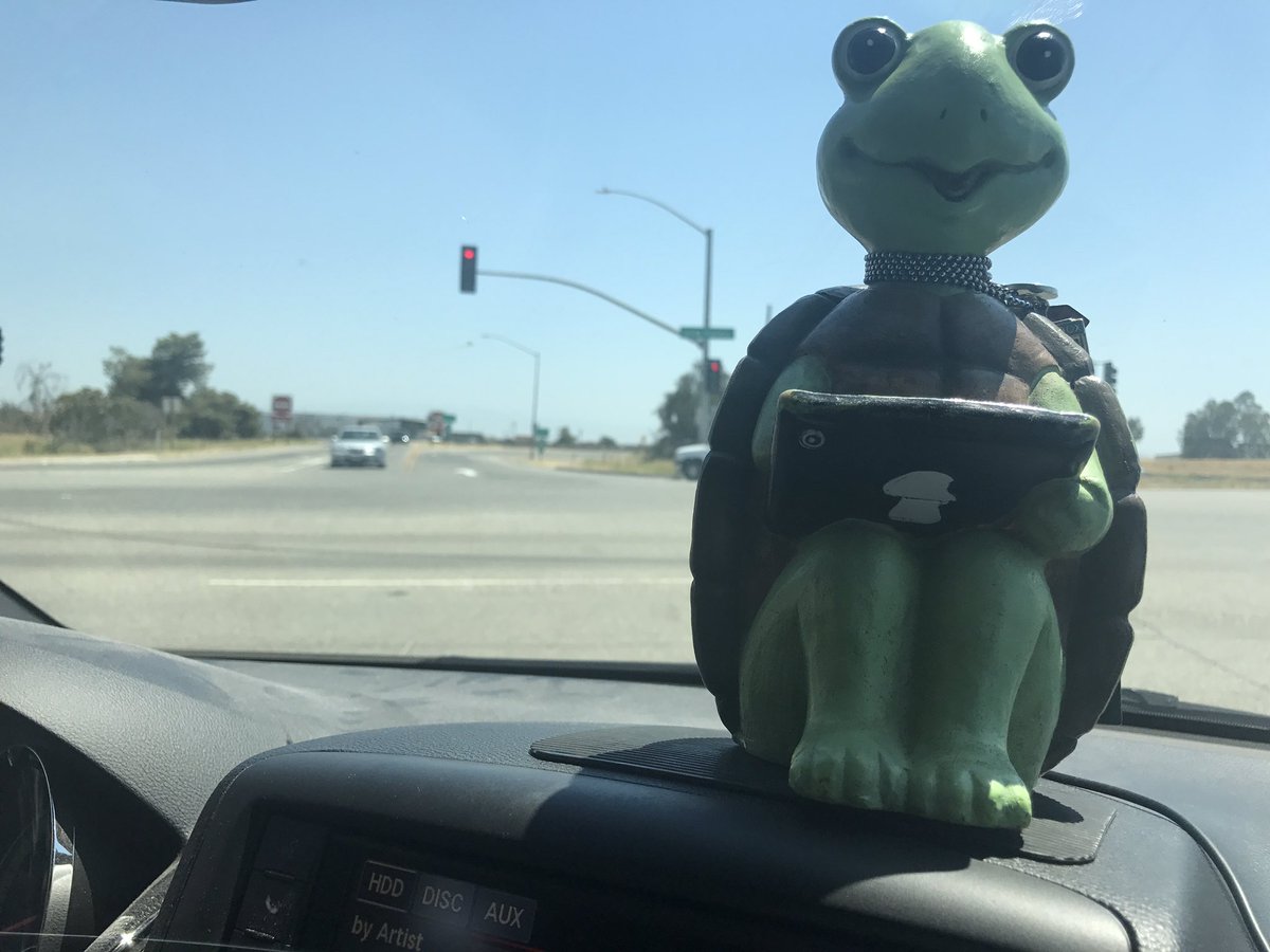 TurtleTyme713's tweet photo. Pit stop on the 99 with @toddlarowe and #TheToddlets #thetravelingturtle https://t.co/Df3JmDyuxM
