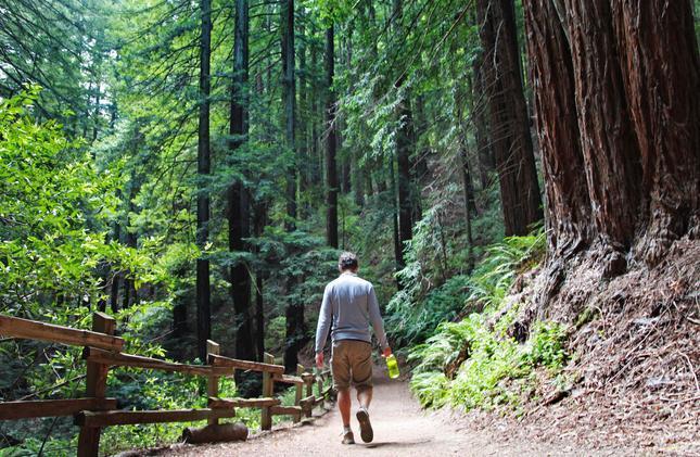 OakTribNews's tweet image. 5 cool Bay Area hikes for hot days bayareane.ws/2tl8lSU